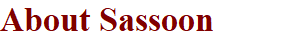 About Sassoon